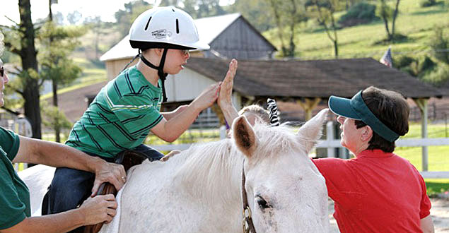 horse therapy photo