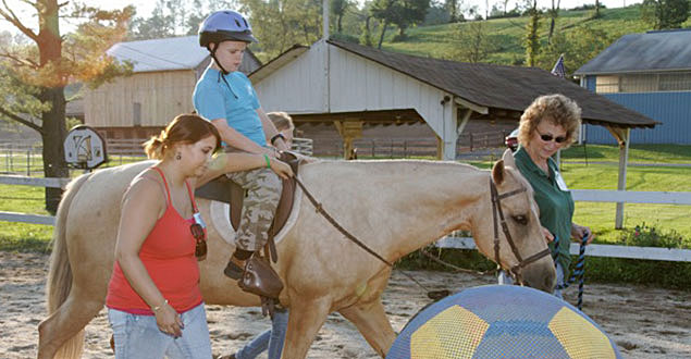 horse therapy photo