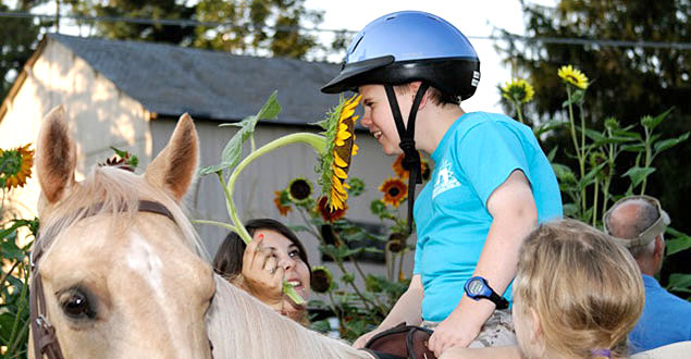 horse therapy photo