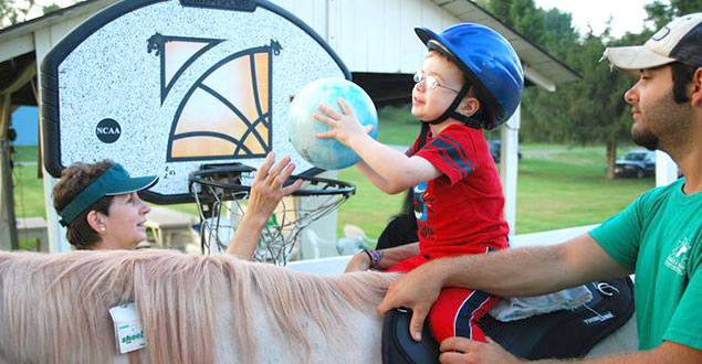 horse therapy photo