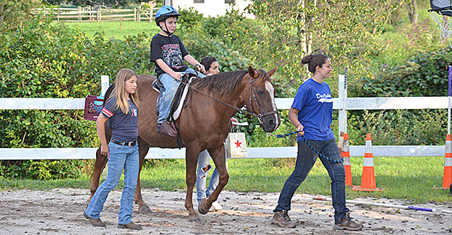 horse therapy photo