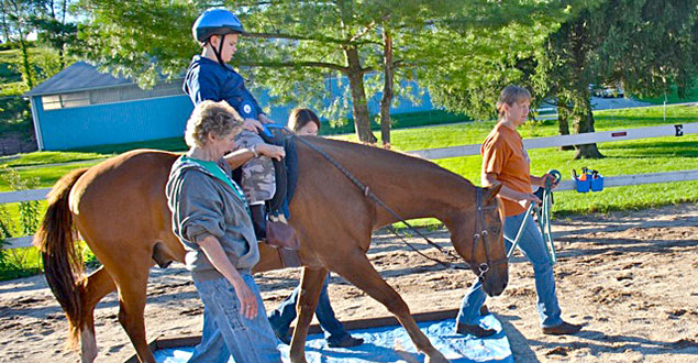 horse therapy photo