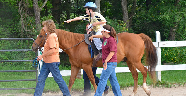 horse therapy photo